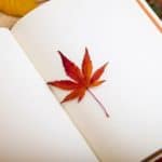 Are you looking for places to submit writing in Canada? Check out this guide to Canadian literary submissions, which includes submission information for 40 Canadian literary journals, magazines, websites and literary publications.