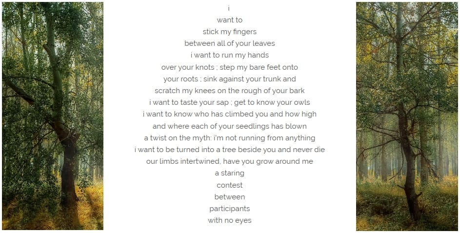 Poem: Make like a tree