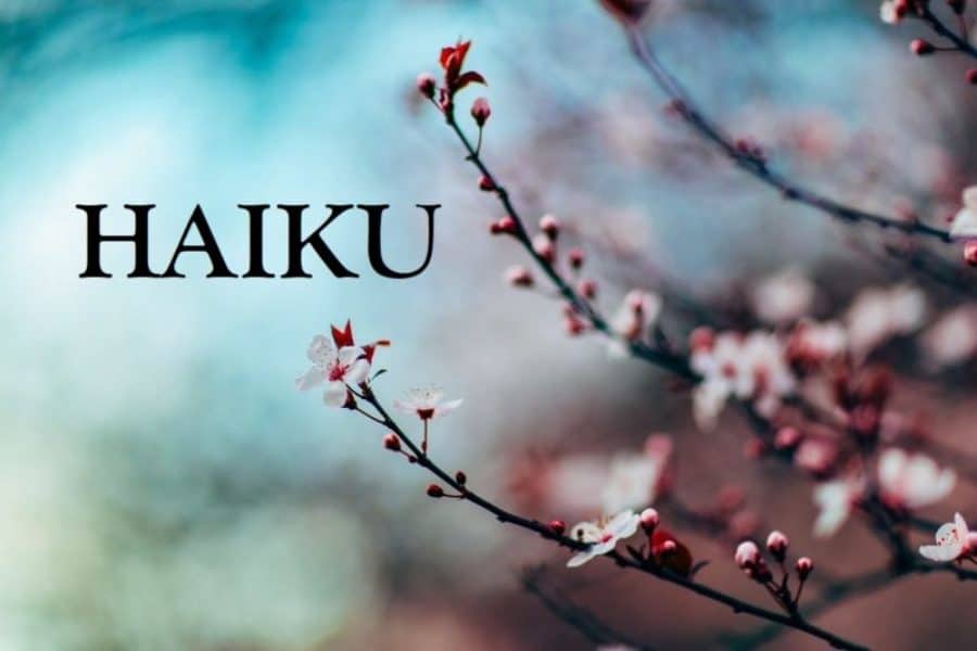 Haiku Contest: Submit by May 31 for your chance to win!