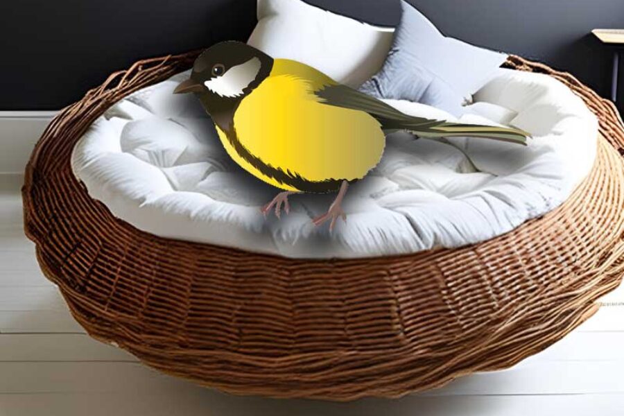 A Bed as a Nest