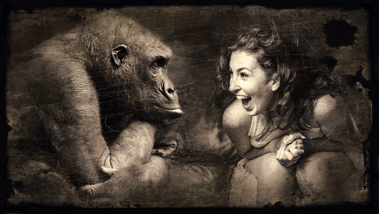 a gorilla and a smiling woman representing characters in storytelling.