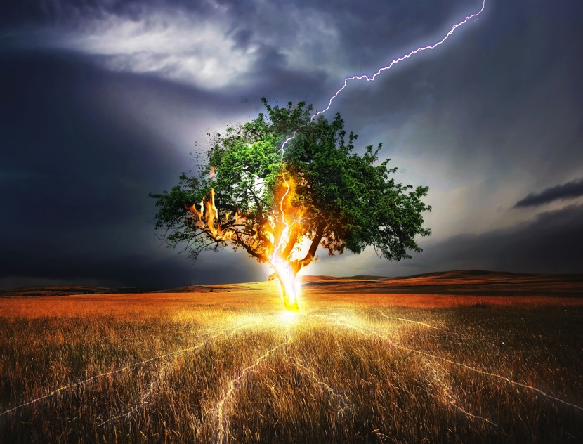 Lightning tree, main image for "Children of the Border" by Dean Gessie.